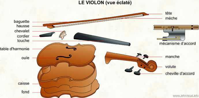Les différentes parties du violon