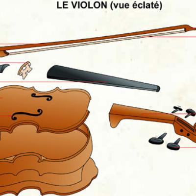 Les différentes parties du violon